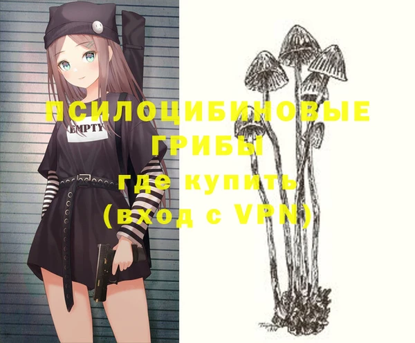спайс Каменка