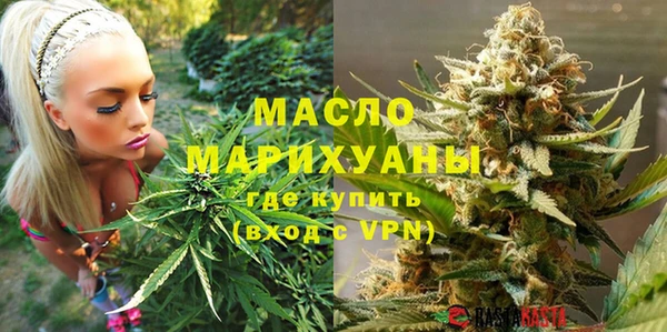 гидра Дмитров
