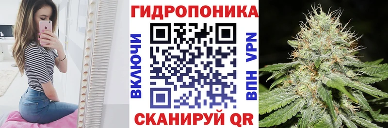 гидра ссылка  Пошехонье  сайты даркнета клад  Бошки марихуана марихуана 